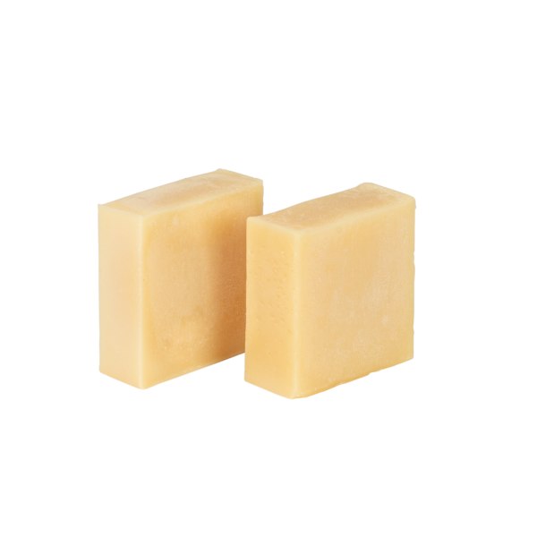 vegan shampoo bars